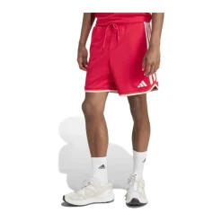 Stadium Mesh Shorts