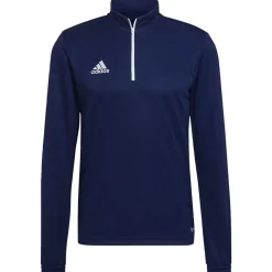 Sweatshirts & Hoodies