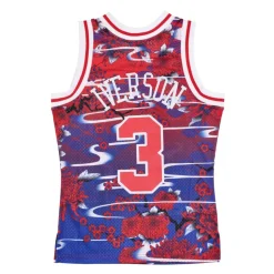 Swingman Jersey 5.0 Hardwood Classics 1996