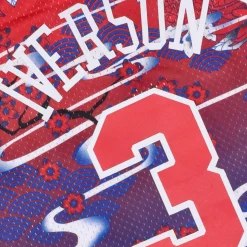 Swingman Jersey 5.0 Hardwood Classics 1996