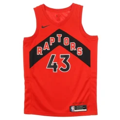 Toronto Raptors Basketball Tanktop