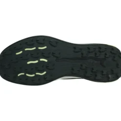 Trailwinder Low