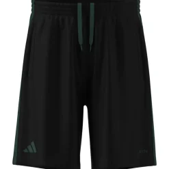 Training Shorts