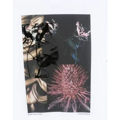 Wit Bloemenprint T-shirt met Ronde Hals