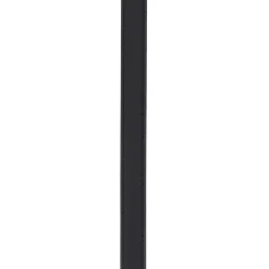 Zwarte leren Riem - Hoogte: 2 cm